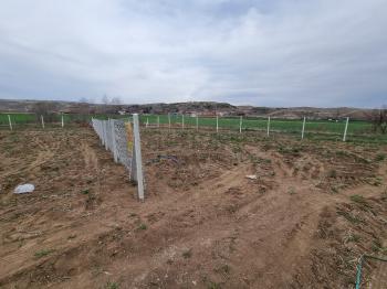 GÜVENAY - ÇORUM SARMAŞA KÖYÜ KARŞISI SATILIK BAHÇE 