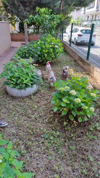 GÖLCÜK 3+1 KİRALIK DAİRE