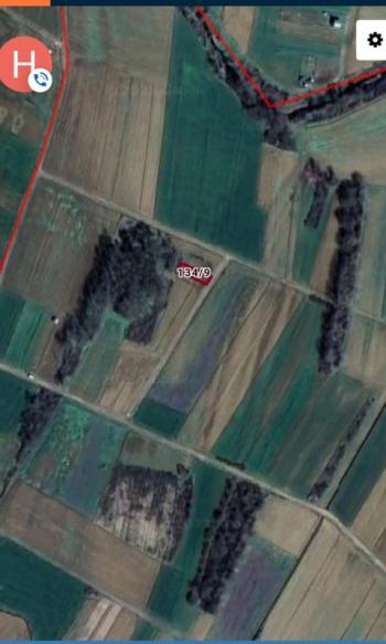 Körfez Himmetli Köyü Satılık Arsa Tarla