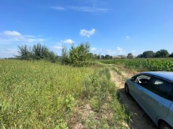 Körfez Himmetli Köyü Satılık Arsa Tarla