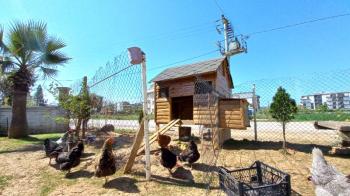 Kartepe Ertuğrulgazi Mahallesi Satılık Müstakil Ev 