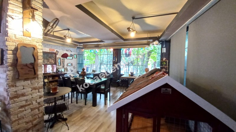 İzmit Acısu Parkı Devren Kiralık Aktif Cafe