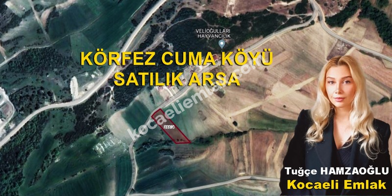 Körfez Cuma Köyü satılık tarla arsa