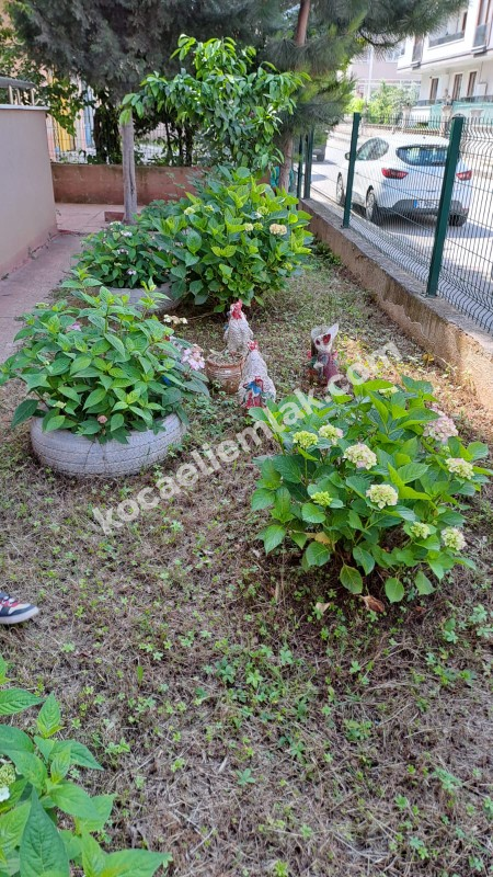 GÖLCÜK 3+1 KİRALIK DAİRE