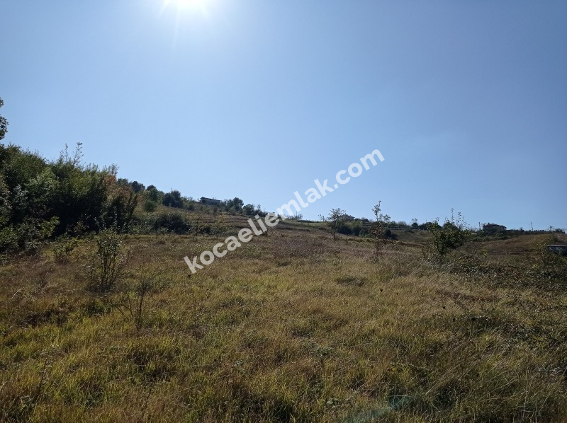 İZMİT KISALAR SATILIK TARLA