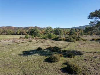 Marmaris Hisarönü Bördübet Müstakil Parsel 3.529 m2 Tarla