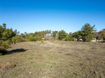 Marmaris Hisarönü Bördübet Müstakil Parsel 3.529 m2 Tarla