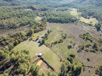 Marmaris Hisarönü Bördübet Müstakil Parsel 3.529 m2 Tarla