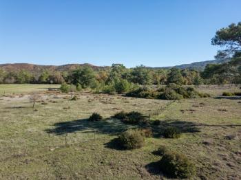 Marmaris Hisarönü Bördübet Müstakil Parsel 3.529 m2 Tarla