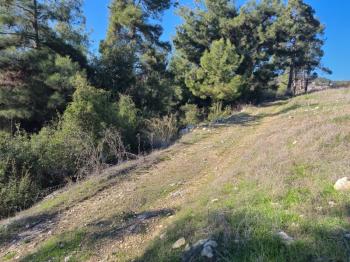 ASLAN'DAN SIRAÇ'TA MÜSTAKİL TAPULU 620 M2 CAZİP FİYATLI TARLA