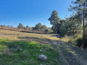 ASLAN'DAN SIRAÇ'TA MÜSTAKİL TAPULU 620 M2 CAZİP FİYATLI TARLA