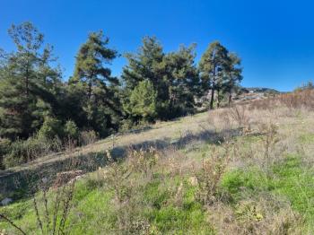 ASLAN'DAN SIRAÇ'TA MÜSTAKİL TAPULU 620 M2 CAZİP FİYATLI TARLA