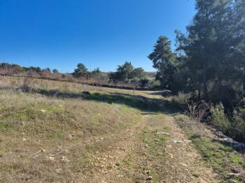 ASLAN'DAN SIRAÇ'TA MÜSTAKİL TAPULU 620 M2 CAZİP FİYATLI TARLA