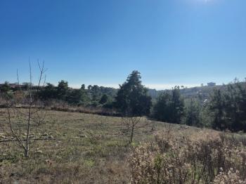 ASLAN'DAN SIRAÇ'TA MÜSTAKİL TAPULU 620 M2 CAZİP FİYATLI TARLA