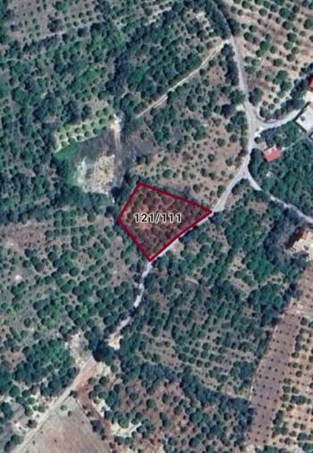 ASLAN'DAN ELVANLI'DA EV YAPIMINA UYGUN TEK TAPULU 1.218 M2 BAHÇE