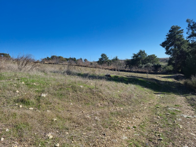 ASLAN'DAN SIRAÇ'TA MÜSTAKİL TAPULU 620 M2 CAZİP FİYATLI TARLA