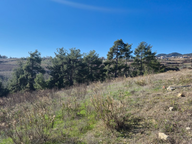 ASLAN'DAN SIRAÇ'TA MÜSTAKİL TAPULU 620 M2 CAZİP FİYATLI TARLA