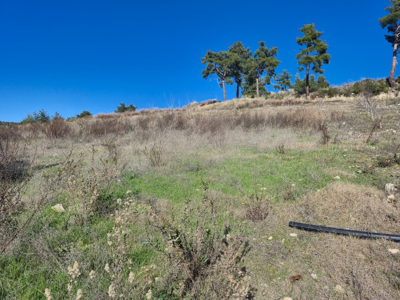 ASLAN'DAN SIRAÇ'TA MÜSTAKİL TAPULU 620 M2 CAZİP FİYATLI TARLA
