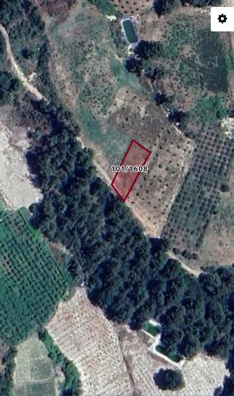 ASLAN'DAN SIRAÇ'TA MÜSTAKİL TAPULU 620 M2 CAZİP FİYATLI TARLA