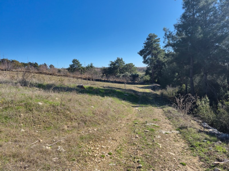 ASLAN'DAN SIRAÇ'TA MÜSTAKİL TAPULU 620 M2 CAZİP FİYATLI TARLA