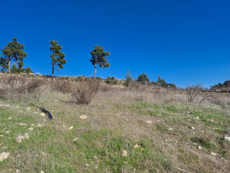 ASLAN'DAN SIRAÇ'TA MÜSTAKİL TAPULU 620 M2 CAZİP FİYATLI TARLA