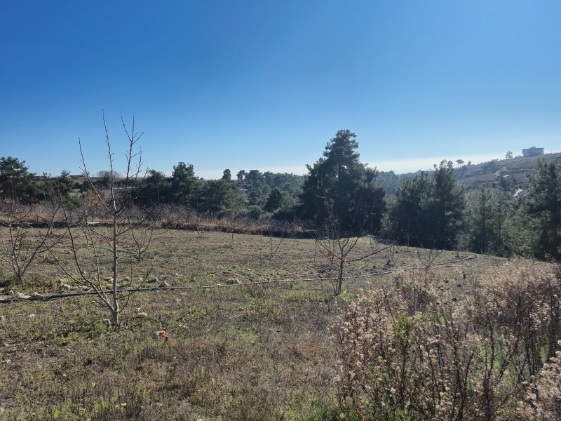ASLAN'DAN SIRAÇ'TA MÜSTAKİL TAPULU 620 M2 CAZİP FİYATLI TARLA