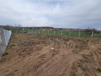 GÜVENAY - ÇORUM SARMAŞA KÖYÜ KARŞISI SATILIK BAHÇE 