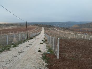 GÜVENAY - ÇORUM SARMAŞA KÖYÜ CİVARI SATILIK HOBİ BAHÇELERİ