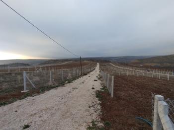 GÜVENAY - ÇORUM SARMAŞA KÖYÜ CİVARI SATILIK HOBİ BAHÇELERİ