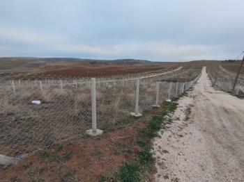 GÜVENAY - ÇORUM SARMAŞA KÖYÜ CİVARI SATILIK HOBİ BAHÇELERİ