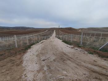 GÜVENAY - ÇORUM SARMAŞA KÖYÜ CİVARI SATILIK HOBİ BAHÇELERİ