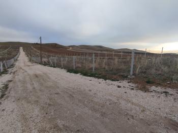 GÜVENAY - ÇORUM SARMAŞA KÖYÜ CİVARI SATILIK HOBİ BAHÇELERİ