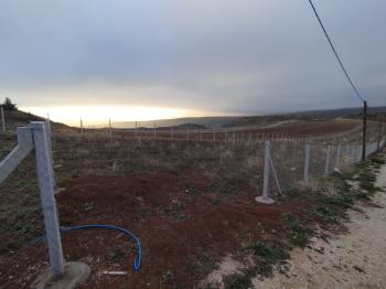 GÜVENAY - ÇORUM SARMAŞA KÖYÜ CİVARI SATILIK HOBİ BAHÇELERİ