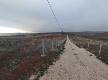 GÜVENAY - ÇORUM SARMAŞA KÖYÜ CİVARI SATILIK HOBİ BAHÇELERİ