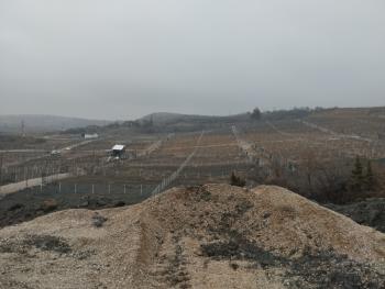 GÜVENAY - ÇORUM BÜGET BARAJ MANZARALI ACİL SATILIK HOBİ BAHÇELERİ