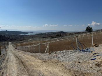 GÜVENAY - ÇORUM BÜGET BARAJ MANZARALI ACİL SATILIK HOBİ BAHÇELERİ