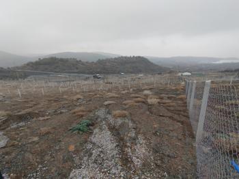 GÜVENAY - ÇORUM BÜGET BARAJ MANZARALI ACİL SATILIK HOBİ BAHÇELERİ