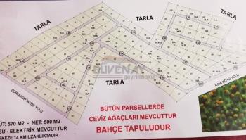Güvenay - Çorum Cemilbey Yolu Kayı - Kıvırcık Yol Ayrımı Ana Yolda Bahçe