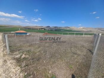 Güvenay - Çorum Cemilbey Yolu Kayı - Kıvırcık Yol Ayrımı Ana Yolda Bahçe