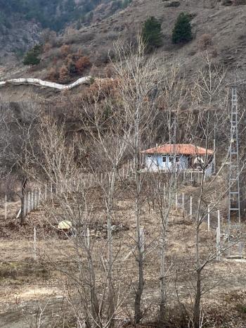 Güvenay - Çorum İskilip Merkezine 5 km Mesafede – 1.212 m² Müstakil Tapulu Bağ Evi