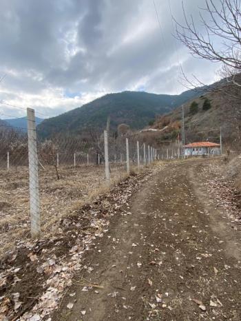 Güvenay - Çorum İskilip Merkezine 5 km Mesafede – 1.212 m² Müstakil Tapulu Bağ Evi