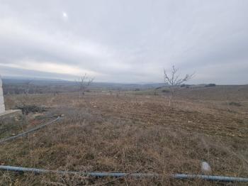 GÜVENAY – ÇORUM ATÇALI MEVKİ – 6.830 M² SATILIK TARLA