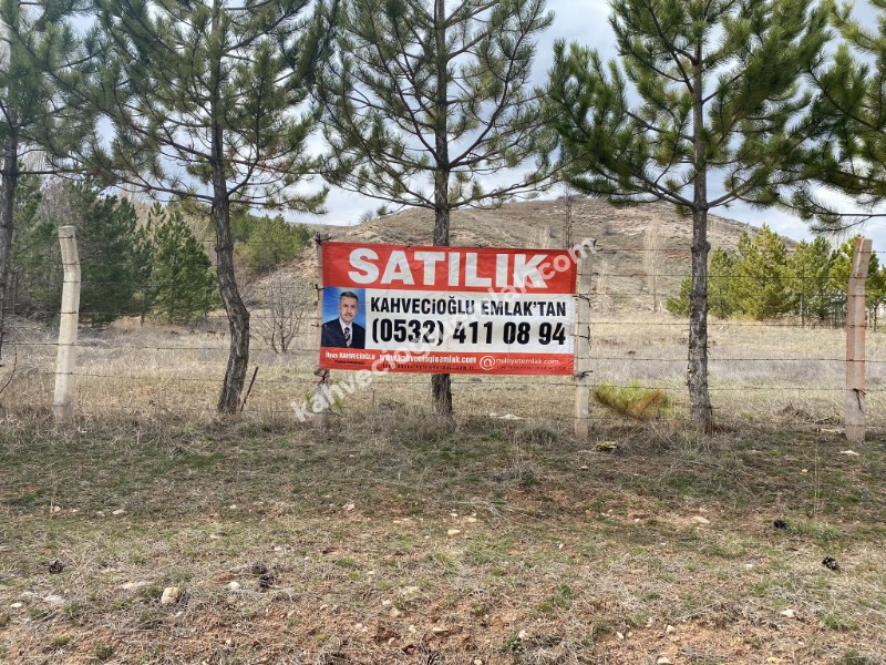 KAHVECİOĞLU EMLAK'DAN SİVAS SEYFEBELİ BEYPINAR SATILIK TARLA