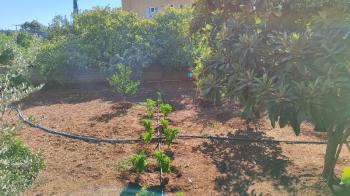GİRNE MAH. JANDARMA YOLUNA CEPHELİ SATILIK BİNA VE 977 m² ARSASI