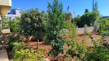 GİRNE MAH. JANDARMA YOLUNA CEPHELİ SATILIK BİNA VE 977 m² ARSASI