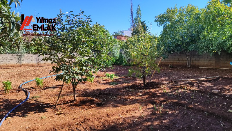 GİRNE MAH. JANDARMA YOLUNA CEPHELİ SATILIK BİNA VE 977 m² ARSASI