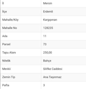 ASLAN'DAN KARGIPINARINDA MERKEZİ KONUM 250M2 İMARLI EV VE ARSASI