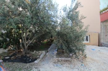 ASLAN'DAN KARGIPINARINDA MERKEZİ KONUM 250M2 İMARLI EV VE ARSASI