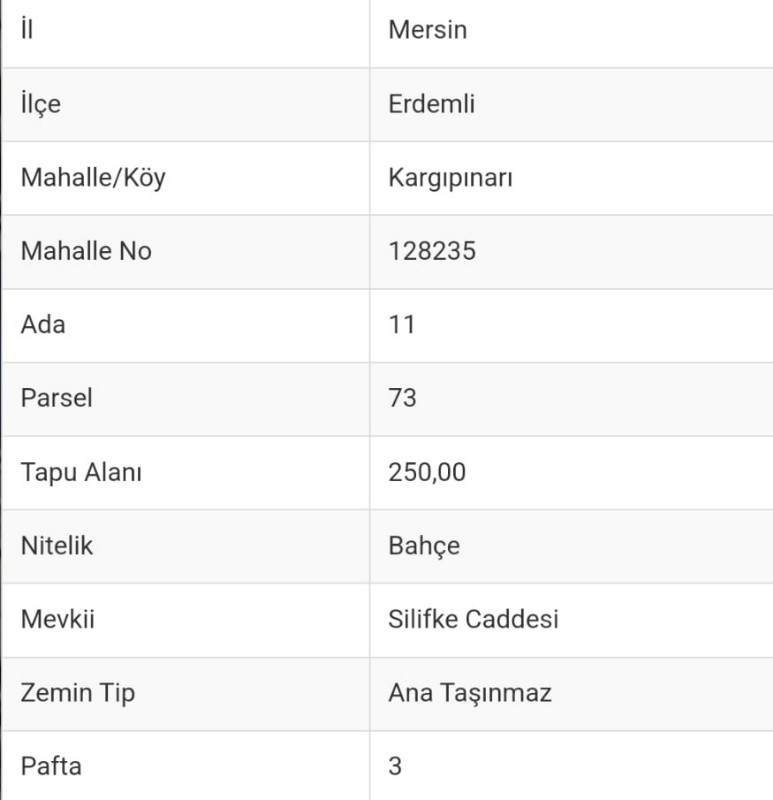 ASLAN'DAN KARGIPINARINDA MERKEZİ KONUM 250M2 İMARLI EV VE ARSASI