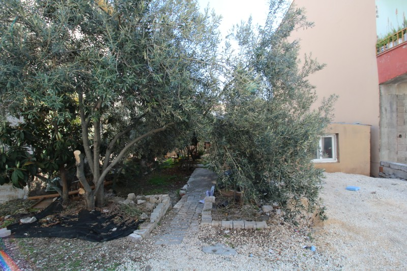 ASLAN'DAN KARGIPINARINDA MERKEZİ KONUM 250M2 İMARLI EV VE ARSASI
